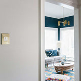 Adorne Whisper Switch by Legrand Adorne, Color: Graphite-Legrand Adorne, Magnesium-Legrand Adorne, White, , | Casa Di Luce Lighting