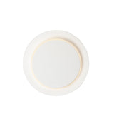 Revolver LED Wall/Ceiling Light