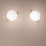 Posy Wall Lamp By Masiero