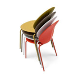 Basil CS/1359 Dining Chair by Calligaris