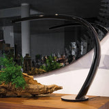 Mamba Table Lamp by Cattelan Italia, Finish: Polished Black Lacquered,, , | Casa Di Luce Lighting