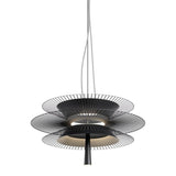 Gravity 2 Suspension by Forestier, Finish: Black, Gold, , | Casa Di Luce Lighting