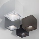 Boxy L+ LED Downlight by Delta Light