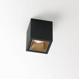 Boxy L+ LED Downlight by Delta Light