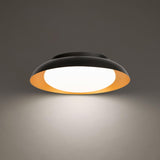 Taurus Flush Mount 3000K Lighting