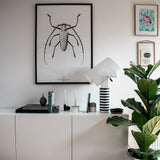 Shogun Table Lamp By Artemide