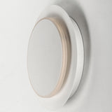 Revolver LED Wall/Ceiling Light