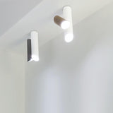 Tubes Large Ceiling Light on ceiling