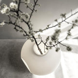 Madre Table Lamp by Foscarini, Title: Default Title, , | Casa Di Luce Lighting