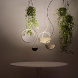 Tambour Pendant Light by Vesoi