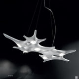 Baobab Suspension by Sillux
