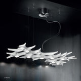 Baobab Suspension by Sillux