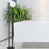 Hornwood 1 Floor Lamp By Eglo - Black Color on the ground