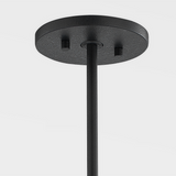 Pacifica Pendant By Troy Lighting, Size: Small