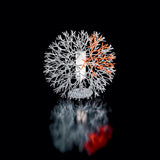 Coral Table Lamp by Pallucco, Shade: White/Orange-Pallucco, Ivory/Red-Pallucco, Ivory/Matt Black-Pallucco, Finish: Black, White, Ivory, | Casa Di Luce Lighting