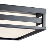Ryler Outdoor Ceiling Light - Black Detailed