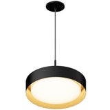 Echo LED Pendant By ET2, Size: Medium, Finish: Black / Gold