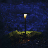 Area Path Light by W.A.C. Lighting, Finish: Bronze on Brass, Black on Aluminum, Bronze on Aluminum, Color Temperature: 2700K, 3000K, | Casa Di Luce Lighting