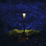 Area Path Light by W.A.C. Lighting, Finish: Bronze on Brass, Black on Aluminum, Bronze on Aluminum, Color Temperature: 2700K, 3000K, | Casa Di Luce Lighting