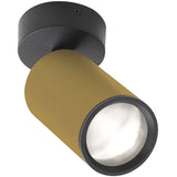 Flemish Gold Spy Focus ON Ceiling Light by Delta Light