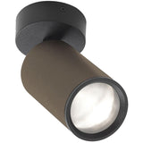 Flemish Bronze Spy Focus ON Ceiling Light by Delta Light