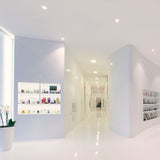 White/White Tweeter Trimless Recessed Light by Delta Light