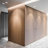 White/White Tweeter Trimless Recessed Light by Delta Light