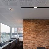 Black/White Tweeter Trimless Recessed Light by Delta Light