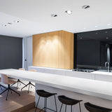 Black/White Tweeter Trimless Recessed Light by Delta Light