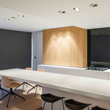 Black/White Tweeter Trimless Recessed Light by Delta Light