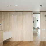 Black/White Tweeter Trimless Recessed Light by Delta Light