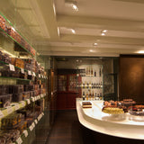 White Tweeter ON Ceiling Light by Delta Light