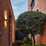 Dark Grey Small Walker II Outdoor Wall Light by Delta Light