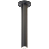 Black Bronze Needle Ceiling Light by Delta Light