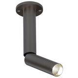 Black Bronze Needle 1 OK Ceiling Light by Delta Light