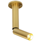 Flemish Gold Needle 1 OK Ceiling Light by Delta Light
