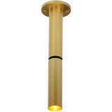 Flemish Gold Needle 1 OK Ceiling Light by Delta Light