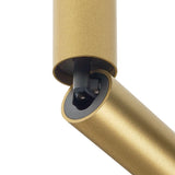 Flemish Gold Needle 1 OK Ceiling Light by Delta Light