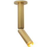 Flemish Gold Needle 1 OK Ceiling Light by Delta Light