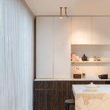 Flemish Gold Needle 1 OK Ceiling Light by Delta Light