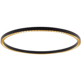 Black/Gold Matt Inform R1 Downlight by Delta Light