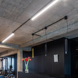 Black Large Punk Pendant Light by Delta Light