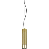 Gold Small Punk Pendant Light by Delta Light