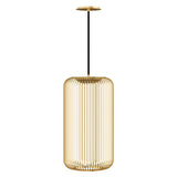 Kai 1 Pendant by Tech Lighting, Finish: Plated Brass-Tech Lighting, , | Casa Di Luce Lighting