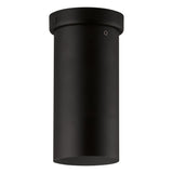 Tortoreto Ceiling Light Black 9 in by Eglo