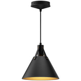 Matte Black Archer Pendant Light by Alora