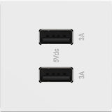 White Adorne Ultra Fast USB Type A/A Outlet by Legrand Adorne