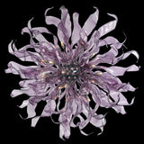 Apolo 30/70 Chandelier by Iris Cristal, Color: Purple, , | Casa Di Luce Lighting