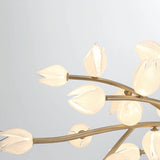 Belluno Chandelier By Lib & Co