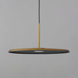 Berliner Pendant Light By ET2 Large AB Finish8